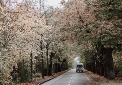 Imagem de capa de van no meio de uma estrada