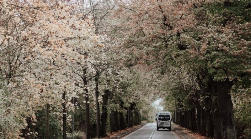 Imagem de capa de van no meio de uma estrada